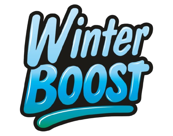 Winter Boost Logo